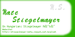 mate stiegelmayer business card